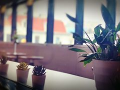 -上海三联书店READWAY(华中首店)