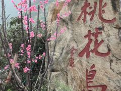 -桃花岛风景旅游区