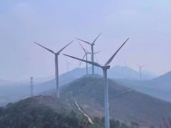 -合肥滨湖国家森林公园