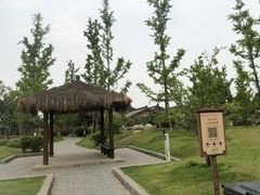 -诗经里