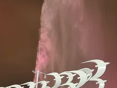 -秋水广场音乐喷泉