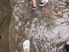 -安吉龙王山峡谷漂流