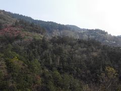 -木兰云雾山