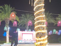 -喷泉广场餐厅·宵夜·海鲜烧烤大排档(长隆企鹅酒店)