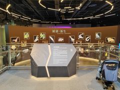 -香港科学馆