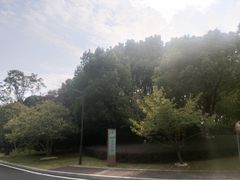 -苏州金鸡湖大酒店