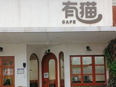 -有猫主题·治愈系猫咖(曾厝垵店)