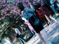 -西安青龙寺遗址景区