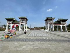 -王借岗森林公园