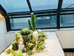 -大树餐厅(红旗街万达店)