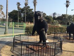 -信不信由你博物馆