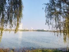 -金银湖国家城市湿地公园