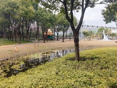 -歌斐颂巧克力小镇