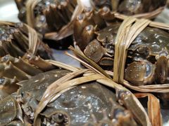 -王宝和酒家(黄浦店)