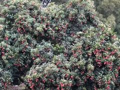 -水濂山森林公园