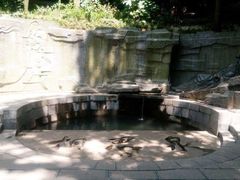 -敬亭山风景名胜区