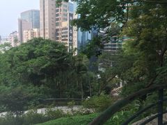 -香港皇家太平洋酒店