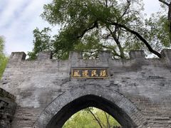 -大槐树寻根祭祖园