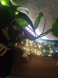 -悦艾堂·中医拔罐减肥·美体艾灸连锁