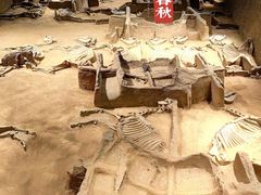 -洛阳周王城天子驾六博物馆