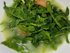 浓汤桑叶-广东道至正餐厅(区庄店)