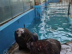 -成都浩海立方海洋公园