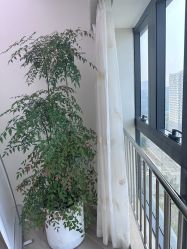 -HEYAN荷妍专业脱毛连锁机构