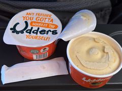 -新加坡航空公司(ION)