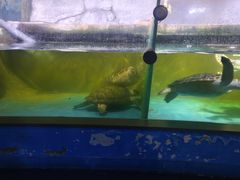 -常州海昌海洋探索馆