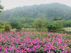 -南沙蒲洲花园