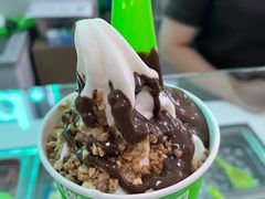 -Salud撒露欧洲冻酸奶(五道口购物中心店)