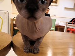-郑家包子牛肉拉面(尚勤路店)