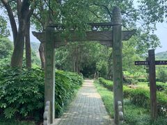 -白马涧龙池景区