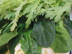 青菜拼筐-阳坊胜利涮羊肉(阳坊老店)