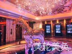 -纯K(打浦桥店)