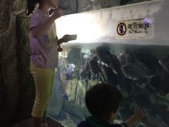 -泉城欧乐堡海洋极地世界