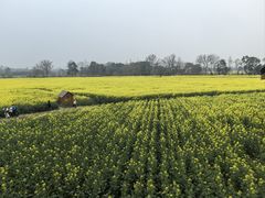 -中国天府农业博览园