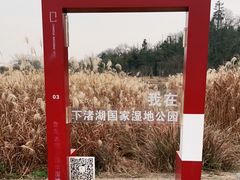 -下渚湖国家湿地公园科普馆