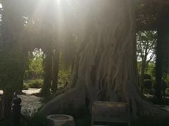 -石家庄市植物园