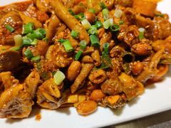 -老号尤兔头(幸福店)