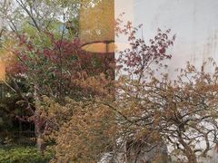 -广富林宰相府酒店·水云间