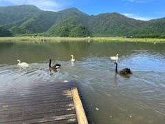 -大九湖