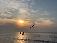 -威海国际海水浴场旅游区