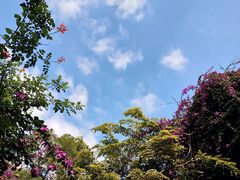 -铁路文化公园