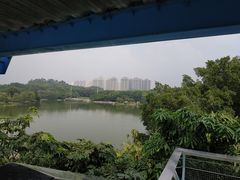 -东莞植物园
