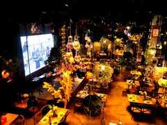 -胡桃里音乐酒馆(四道口店)