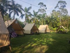 -芭厘·农庄老字号.电饭煲五指毛桃焗鸡