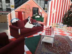 -宜家家居(哈尔滨商场店)