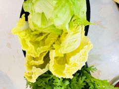 蔬菜拼盘-京门活鱼馆·鱼火锅(百子湾（原红庙）店)