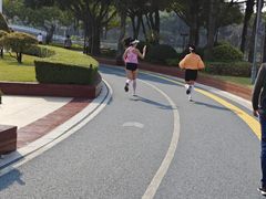 -白鹭洲公园